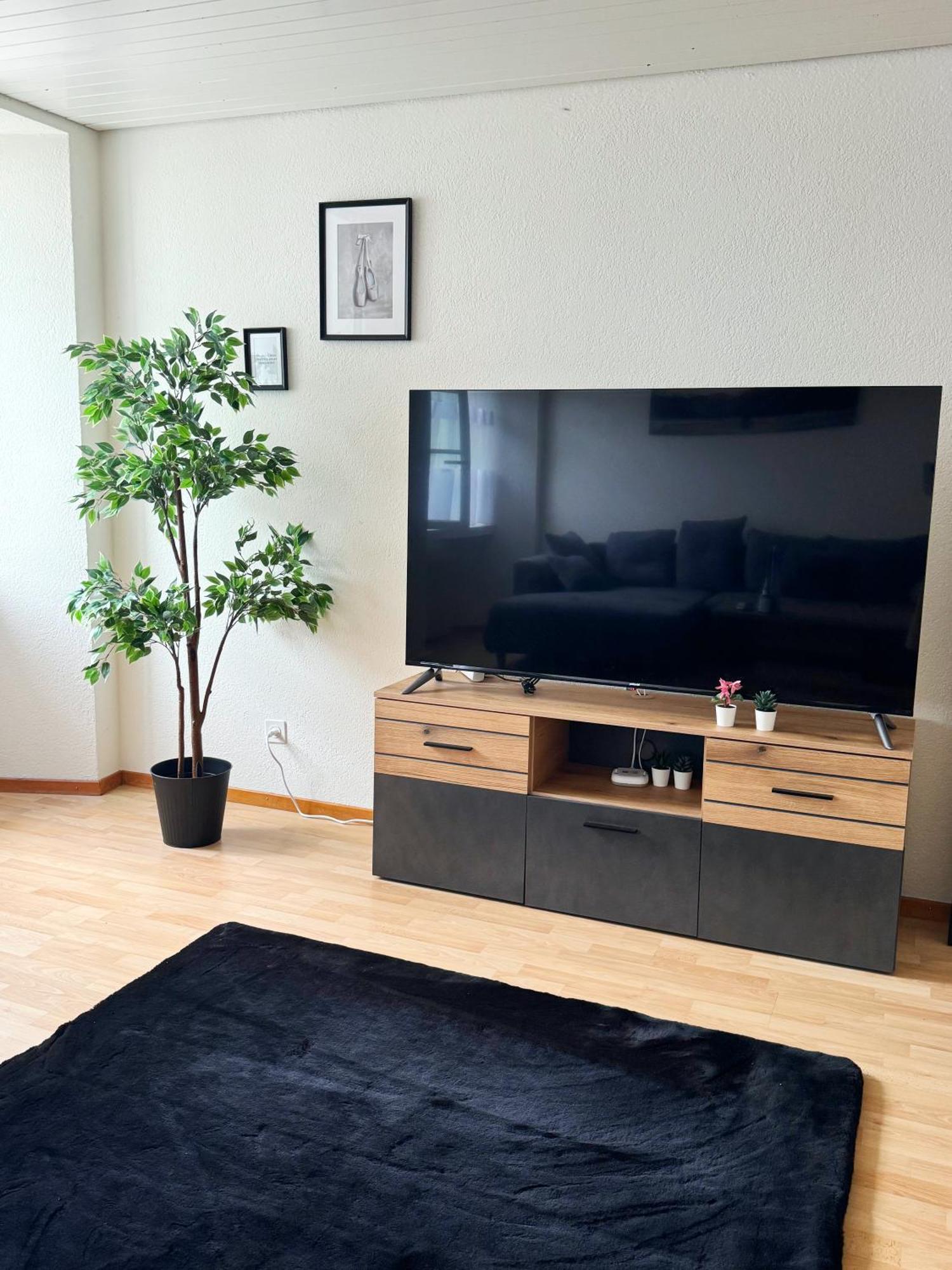 Tas24Ch Travel And Sleep 24 Apartman St. Gallen Kültér fotó